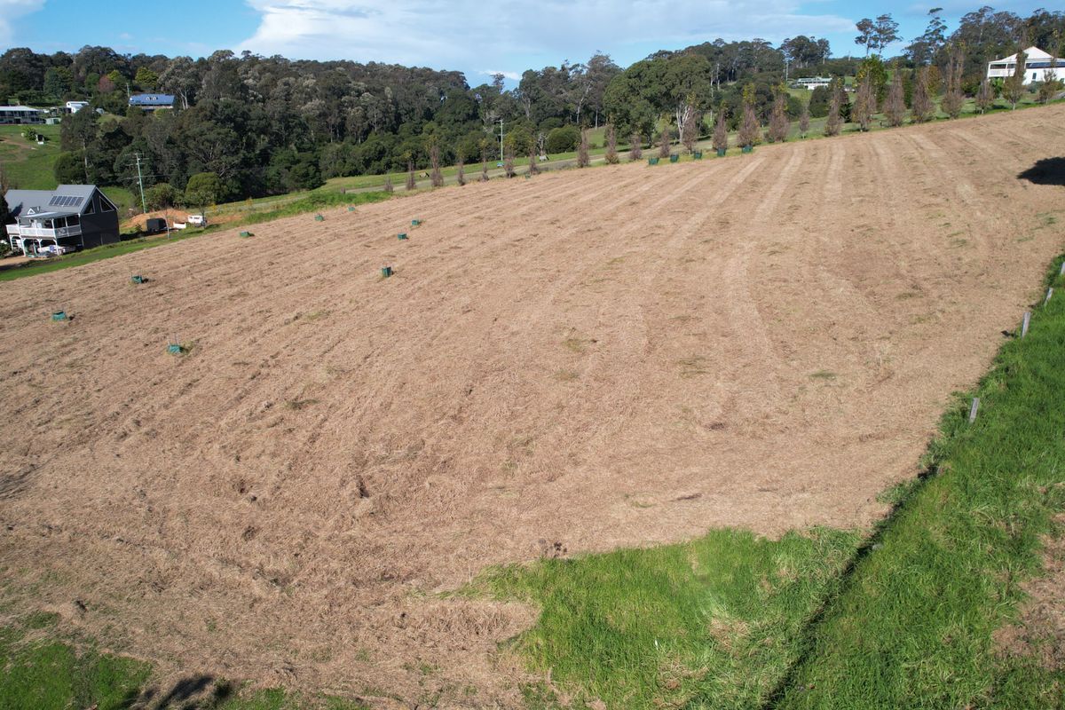 Lot 122, Lilyvale Place, Narooma