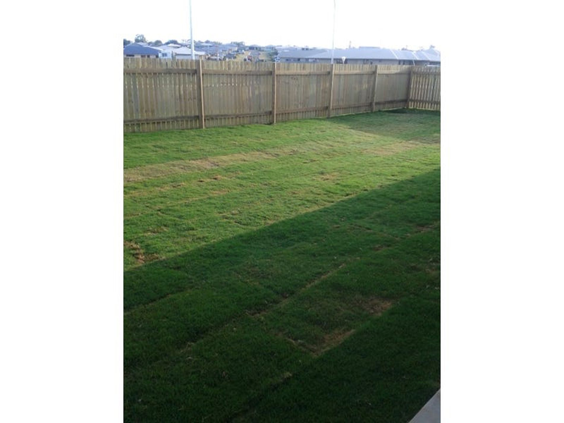 63 Abby Drive, Gracemere