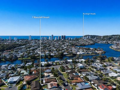 7 Razorbill St, Burleigh Waters