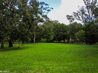 47 Obi Obi Rd, Mapleton