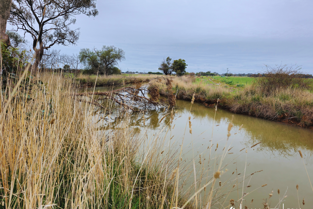 643 White Road, Girgarre