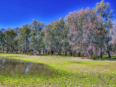 . Murray Valley Highway, Bonegilla