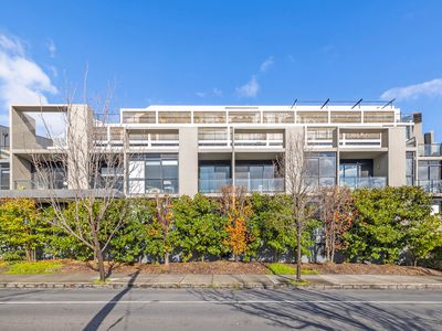 204 / 38 Harold Street, Hawthorn East