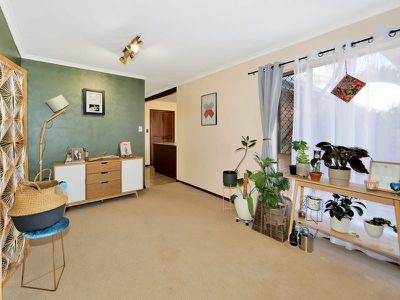 22 Ripley Avenue, Pialba
