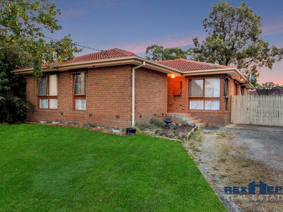 19 Winnima Avenue, Hampton Park
