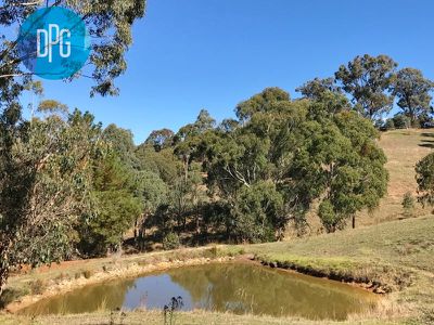 Bonnie Doon
