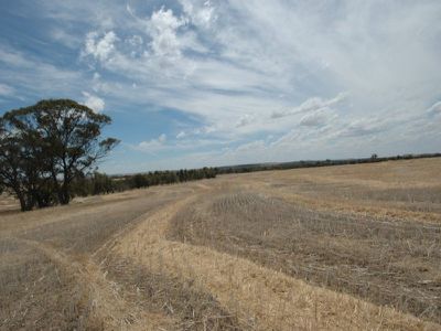 Brookton