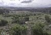 660 Kerrs Creek Road, Kerrs Creek
