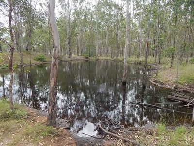 242 Franklin Road, Wattle Camp