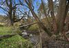 820 Ellendale Road, Ellendale