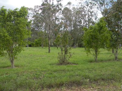 22 Mitchell Creek Road, Kandanga Creek
