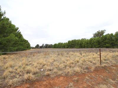 Lot 12 Green Street West, Lockhart