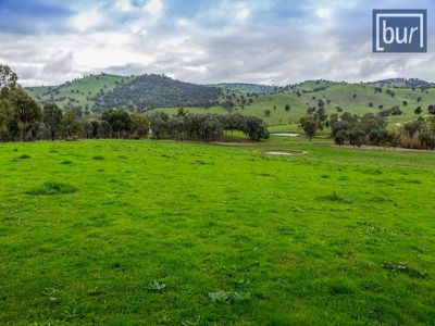 1242 Wymah Road, Bowna