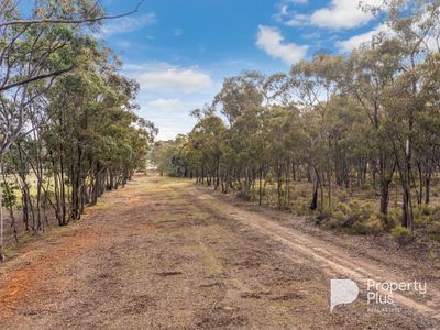 5936 Muckleford-Castlemaine Road, Muckleford