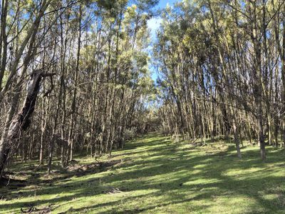 243 Jacquet Road, Braidwood