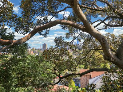 417 / 433 Alfred Street North, Neutral Bay