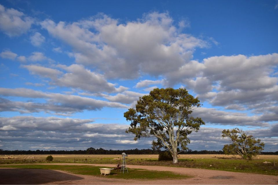 190 Battans Road, Sedan