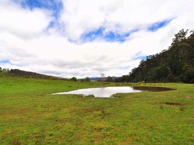 Gardners Bay