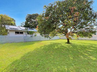 4 Wattle Avenue, Coconuts