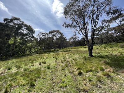 Lot 143, 6875 Taralga Road, Taralga