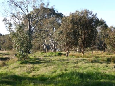 Lot 2 Fanning Lane, Wooragee