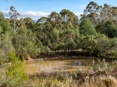 77 Clarks Road, Cradoc