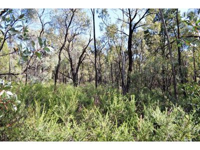 353 Albert Wright Road, Rocky Glen