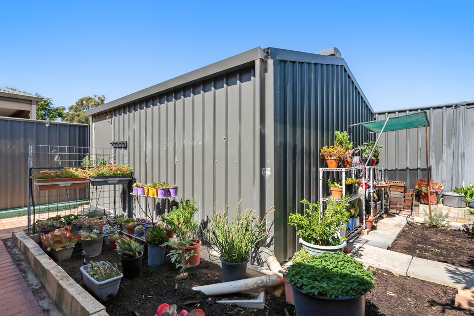 17 Bettong Street, Baldivis