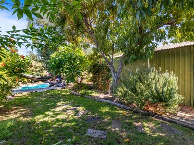 7 Ashbourne Way, Hamilton Hill