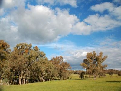 Springhurst