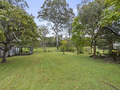 34  Kauri Street , Cooroy