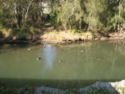 88 Koona Street, Albion Park Rail