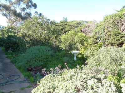 18 Frayne Avenue, Rupanyup
