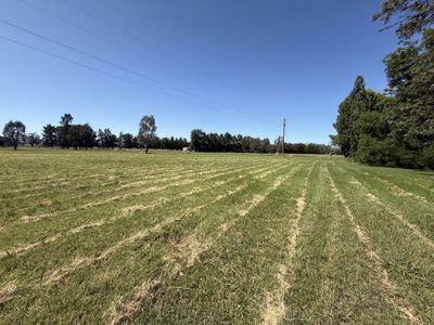 2255 Newell Highway, Tichborne