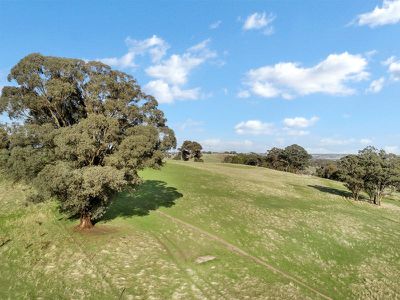 234 Kippings Road, Strathbogie