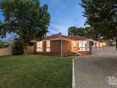 19 Winnima Avenue, Hampton Park