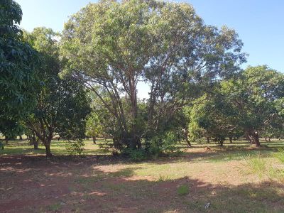 109 Endeavour Valley Road, Cooktown