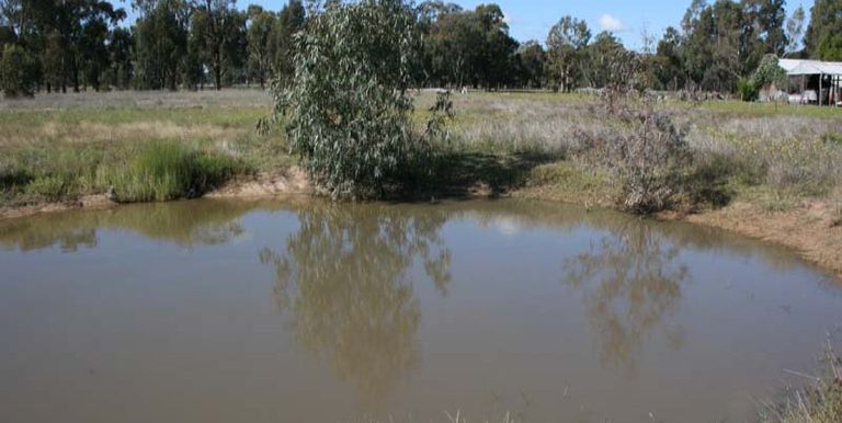 2 / Euroa Shepparton Road, Miepoll