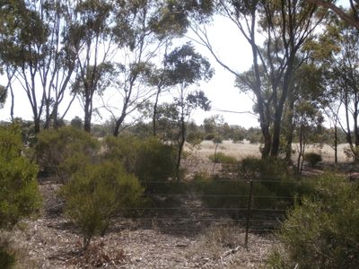 1 Wedderburn Junction East Road, Fiery Flat