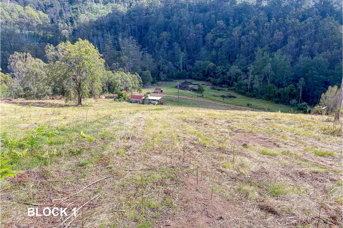 Lot 243, 763 Little Run Road, Wherrol Flat