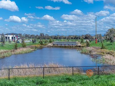 50 Booroolong Street, Throsby