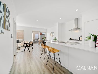86 JUBILEE AVENUE, Success
