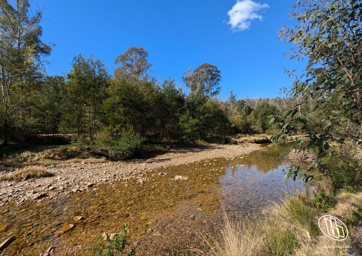 115 Gulph Creek Road, Nerrigundah