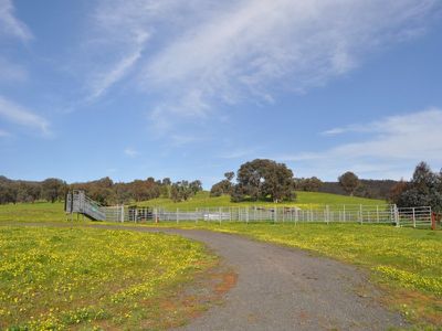 412 Vokins Creek Road, Little Billabong