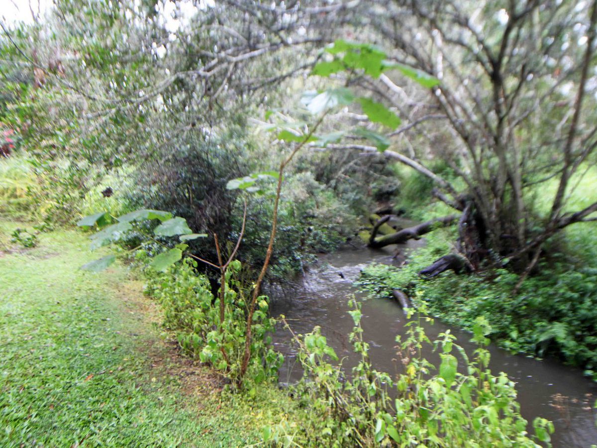 Ravenshoe