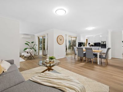 8 Nolina Court, Indooroopilly