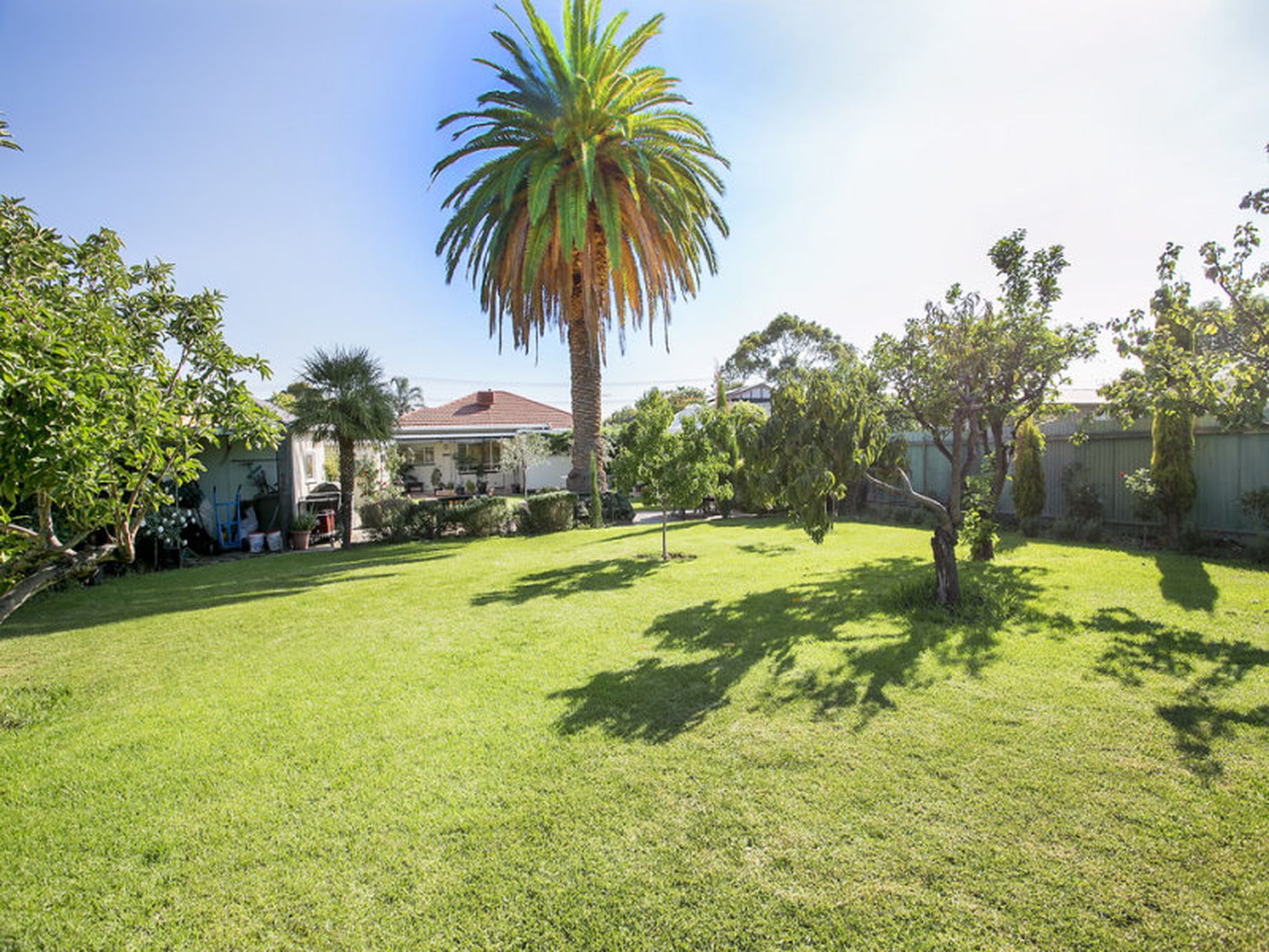 16 Haynes Avenue, Richmond