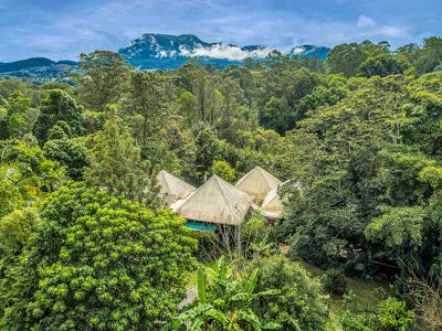 10 / 78 Cecil Street, Nimbin