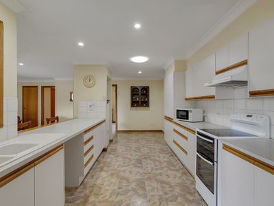 15 David Street, Hamilton