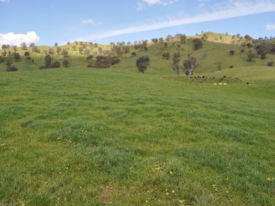 1441 Murray Valley Highway, Huon